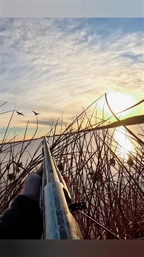 Early Morning Goose Hunt First Light Action Over the Marsh #GooseHunting #EarlyMorningHunt