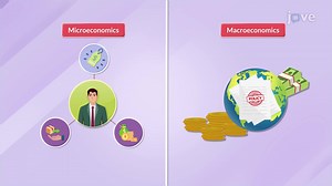 Video: Micro vs Macro
