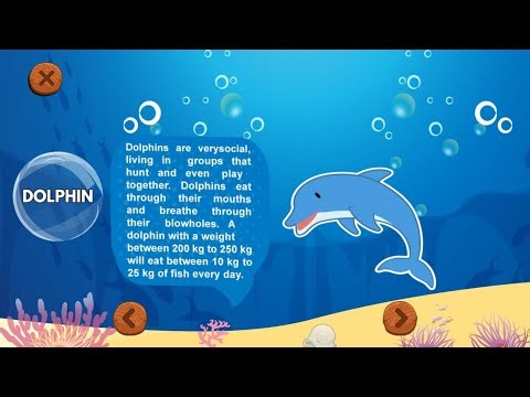 ZOOSIC ADVENTURE ANIMAL FACTS AND VIRTUAL TOUR | EXPLORE THE ZOO GAMEPLAY | VISIT TO ZOO (SEA WORLD)