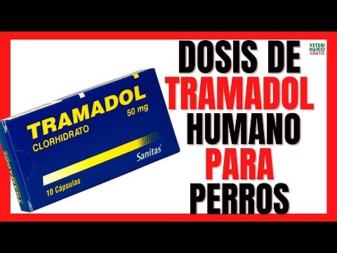 🔴 DOSE OF HUMAN TRAMADOL FOR DOGS WITH ARTHROSIS 🔴