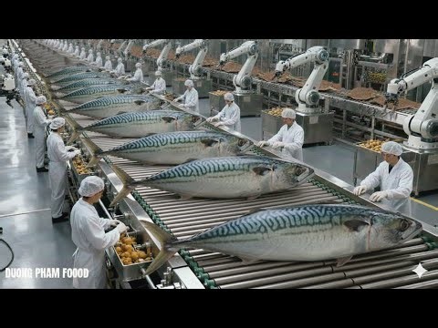 INSIDE A MACKEREL PROCESSING FACTORY: FROM FRESH CATCH TO FINAL PRODUCT (THE WHOLE PROCESS)