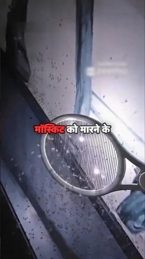 Powerful Mosquito killer bat #mosquitoracket #mosquitobat ‪@CreativeExposure‬ ‪@VMone‬