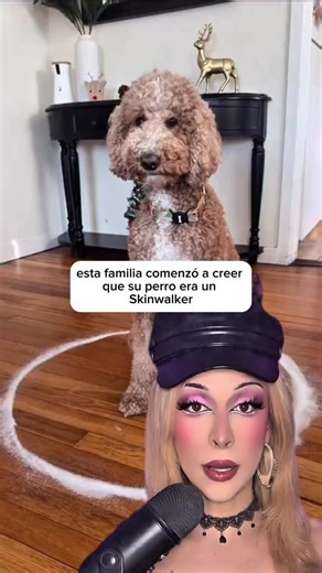 Brith Bell on Instagram: "Que miedo no? 😱"