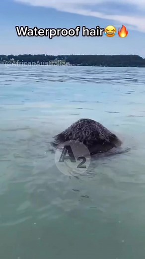 2.4K views · 31 reactions | Hair has always been an important part of...