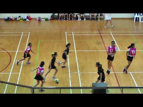 2017 Primary School Netball North Zone Finals