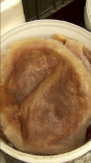 Inside a Chinese Seafood Market