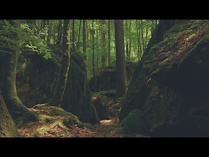 Deep Forest Boulders | Motion Worship