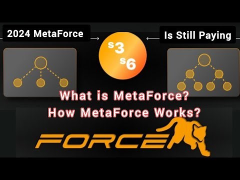 Full Explanation on how holiverse works (Meta Force)
