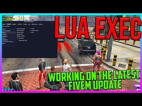 FiveM Lua Executor + Anti Cheat Blocker Bypass + Lua Menus + Dumper to get server files *EulenCheats
