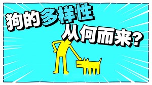 【34集】TED-Ed科普动画，B站最美画风的英语合集，刷一遍英语溜到飞起来！快速提升词汇量、口语、听力，刷完词汇量猛增+