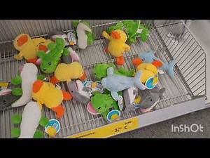 A Visit to Tedox Market in Germany 🇩🇪