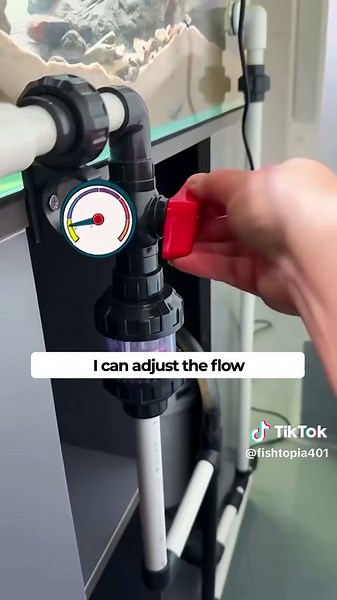 How to Upgrade Your Dune Aquarium Setup