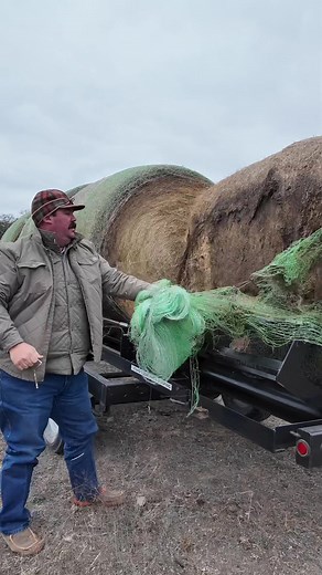Hay Trailer Operation for Cows on the Ranch