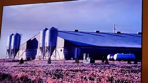 The Magic Pill documentary on Netflix is quite eye 👀 opening!!! | Peace, Love, and Energy Divine