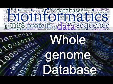 Bioinformatics lecture 10 whole genome database (practical bioinformatics)