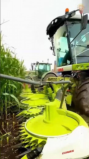 Why American Farmers Harvest Corn Before It’s Ripe | Corn Silage Explained | known the unknown earth