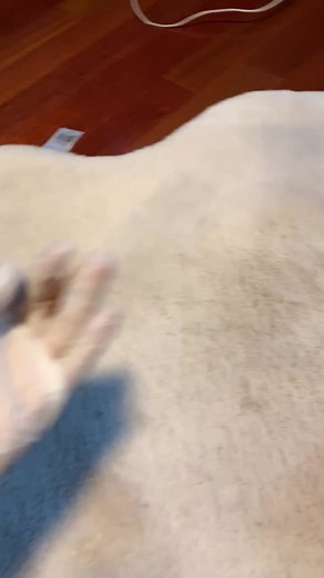 Funny Baby Bug Prank Compilation