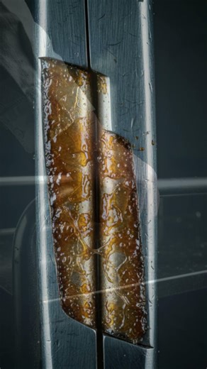 Infection nosocomiale causes, risques et prévention