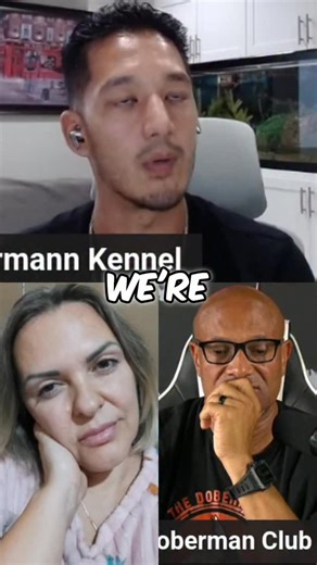 A $15,000 dog deal gone wrong with @lakewood_european_dobermans and breeder discussed the issues on our live podcast. | European Doberman Stud