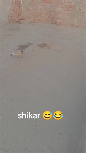 Exploring Shikar in Our Lives