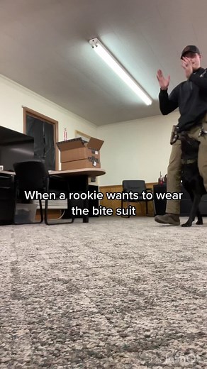 Chicks dig scars! 🤙🏼 #k9vader7 #varlonation #bite #ROMWEnextgen #varlo #fyp