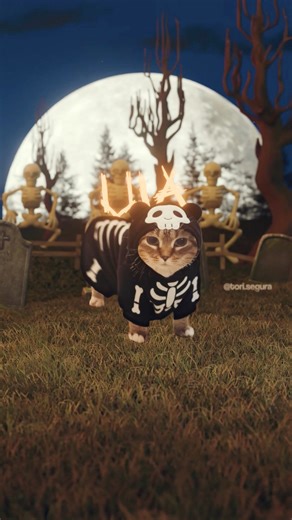 985K views · 33K reactions | It’s spooky UIA season!  OIIA Cat x Spooky Scary Skeletons by Andrew Gold (Undead Tombstone Remix) @oiiacat_ethel #lyrics #halloween #cats #uia #foryou | Tori Segura | Facebook