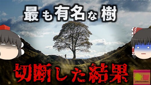 『最も有名な伝説の木を切った男』イギリスで愛された歴史的樹木を酔った勢いで伐採した男 その価値は9000万円とも言われ、実刑判決に…「シカモア・ギャップ事件」【ゆっくり解説】