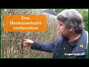 Den Heckenschnitt vorbereiten