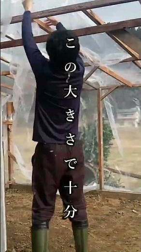 簡単にできる農業用の小さいビニールハウス作り #diy #農業 #ビニールハウス
