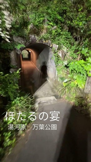 【次の週末、どこ行こう】湯河原温泉。万葉公園。ほたるの宴。 #自然 #湯河原 #神奈川 #ジブリ #さんぽ #湯河原温泉