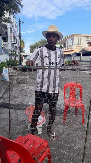 Understanding Wire Mesh Applications in Urban Settings