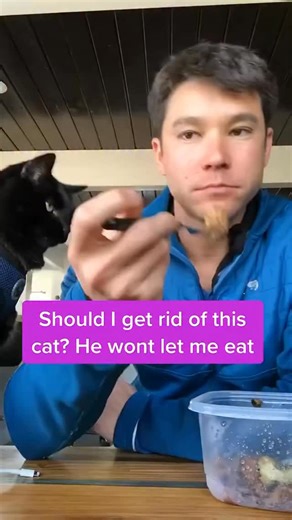 9.9K views · 928 reactions | I’m so hungry…..  #lunchtime #blackcats #catproblems | Simon the backpacking Kitty | Facebook