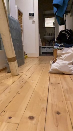 Chariots of beagle . #chariot #beagle #dog #fyp #beaglelego | Beagle Lego