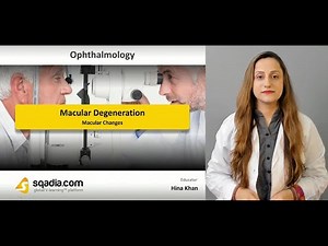 Macular Degeneration | Macular Changes