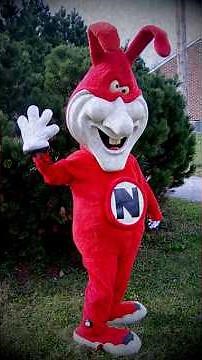 The Tragic Story of the Domino’s Pizza Mascot “THE NOID” ⚠️