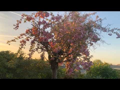Doing Math Homework | Study Motivation With Calm Music