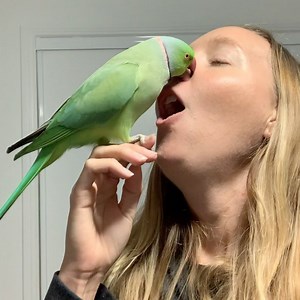 154K views · 825 shares | He gets so excited when I blow raspberries...