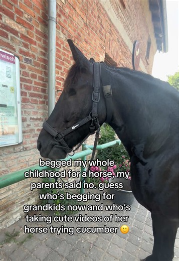 Firstborn Friesian Horse Moments — Grandma Filming Cucumber Trick