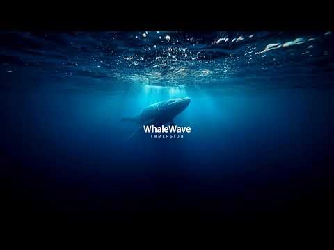 Relaxing Ocean ASMR 🌊 Whale Sounds for Deep Sleep, Focus & Healing Energy