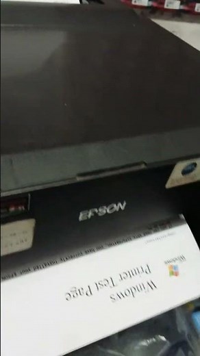 Test page epson L1110