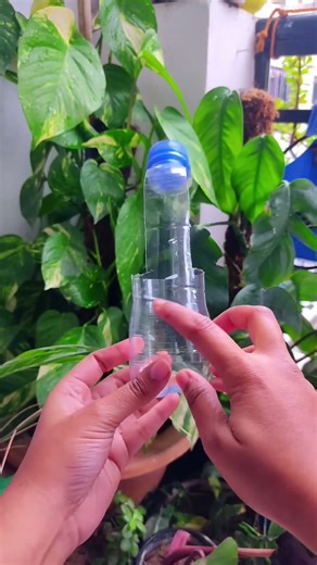 plastic bottle are turned into flowers pots//home made pot #shorts #garden