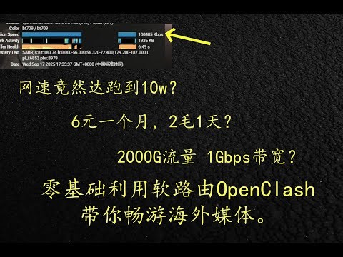 零基础利用openwrt软路由的OpenClash代理上网，vps搭建hysteria2教程来了！2毛一天带你畅游海外媒体，10000w速度冲浪体验。