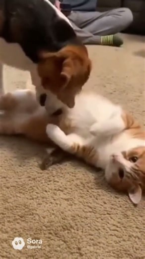 You Won’t Believe What Scared This Cat! 😂 (Epic Fail)#Shorts #Cat #FunnyCat #CatVsMouse