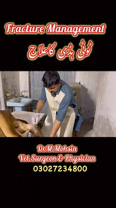 Fracture Management in cow #reelsviralシ #reelsfbシ #reelsfbpage #reelsfb #reelsviral #viralvideo #cow | Vet.Dr.Mohsin