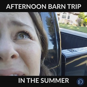 14K views · 208 reactions | Hey California, enjoy your 100+ degrees today. | Horse Network | Facebook