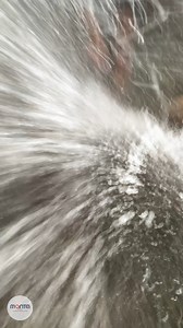 8.6K views · 57 reactions | 藍 Plumbing Pneumatic Test Ball Gone Wrong 藍 #plumbinglife #plumbingtricks #constructionlife #reelsvideo #thebuildingexpert #drainage #newconstruction #construction #reels #plumbingtips #plumberslife #plumbing #plumbingfails | The Building Expert | Facebook