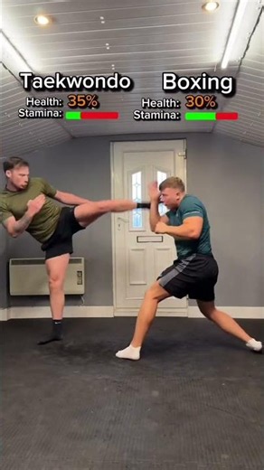 Taekwondo vs Boxing Comparison: Martial Arts Fight Simulation