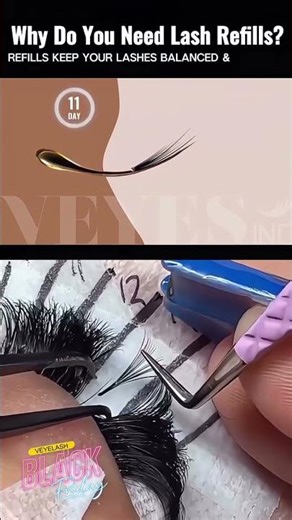 Why Regular Lash Fills Matter