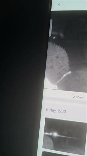 Spirit spider at my door wow