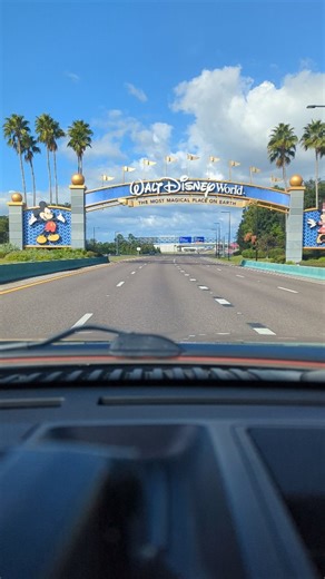 Every delivery is more than just a cake, it's a moment of magic, a piece of someone's celebration, and a dream come true. ✨ Being able to share my custom treats with you all is something I’ll never take for granted. It reminds me that a little creativity, passion, and pixie dust can turn any day into something unforgettable 🩷 #cupcakesofinstagram #pastries #floridabaker #disneycupcakes #disneylove #disneycakes | Jess takes the cake